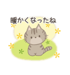 ネコちゃんの癒しスタンプ！（個別スタンプ：5）