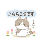 ネコちゃんの癒しスタンプ！（個別スタンプ：20）