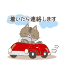 ネコちゃんの癒しスタンプ！（個別スタンプ：31）