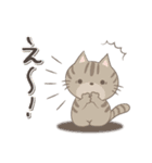 ネコちゃんの癒しスタンプ！（個別スタンプ：33）