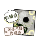 はな花言葉（個別スタンプ：1）
