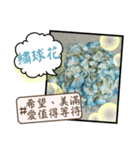 はな花言葉（個別スタンプ：4）