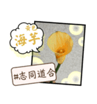 はな花言葉（個別スタンプ：6）