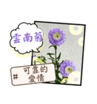 はな花言葉（個別スタンプ：11）