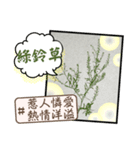 はな花言葉（個別スタンプ：14）