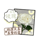 はな花言葉（個別スタンプ：15）