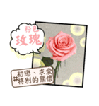 はな花言葉（個別スタンプ：17）