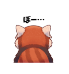 レッサーパンダのゆるっと後ろ姿（個別スタンプ：5）
