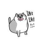 小さなコアラちゃん【完全版】（個別スタンプ：14）