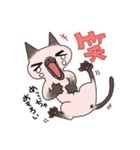 おにゃんずわーるど（個別スタンプ：8）