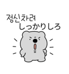 グレーコアラ （日本語/韓国語）（個別スタンプ：19）