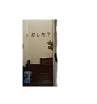 にゃんず三兄弟（個別スタンプ：3）