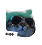 にゃんず三兄弟（個別スタンプ：4）
