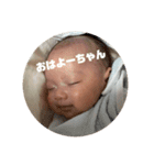 いおりーんスタンプだに（個別スタンプ：5）