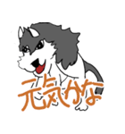 ワイルドなハスキー犬（個別スタンプ：4）