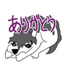 ワイルドなハスキー犬（個別スタンプ：12）