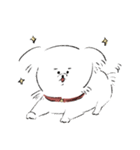 いぬ犬ドッグ（個別スタンプ：8）