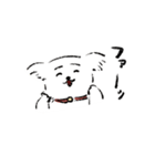 いぬ犬ドッグ（個別スタンプ：11）