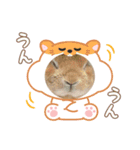 うちのこたちシリーズ（個別スタンプ：1）
