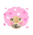 うちのこたちシリーズ（個別スタンプ：2）
