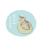 キジトラ猫のゆる敬語スタンプ（個別スタンプ：2）