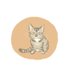 キジトラ猫のゆる敬語スタンプ（個別スタンプ：5）