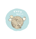 キジトラ猫のゆる敬語スタンプ（個別スタンプ：6）