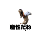 ココパイセン（個別スタンプ：3）