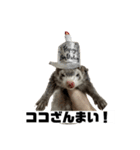 ココパイセン（個別スタンプ：5）