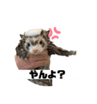 ココパイセン（個別スタンプ：7）