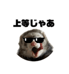 ココパイセン（個別スタンプ：9）