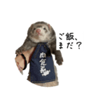 ココパイセン（個別スタンプ：12）