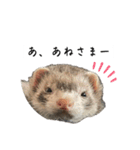 ココパイセン（個別スタンプ：16）