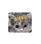 優しい想い出（個別スタンプ：3）