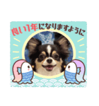 チワワ4兄妹 (ネオ・ピノ・イオ・のい)（個別スタンプ：14）
