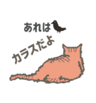 にゃにゃんっとカラフルライフ！（個別スタンプ：3）