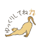 にゃにゃんっとカラフルライフ！（個別スタンプ：9）