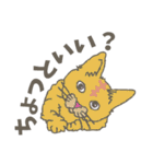 にゃにゃんっとカラフルライフ！（個別スタンプ：10）
