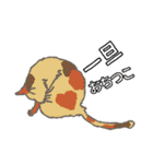 にゃにゃんっとカラフルライフ！（個別スタンプ：17）