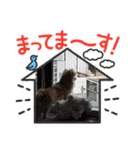 レオスタンプᜊ•ᴗ•ᜊ（個別スタンプ：4）