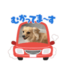 レオスタンプᜊ•ᴗ•ᜊ（個別スタンプ：5）