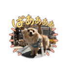 レオスタンプᜊ•ᴗ•ᜊ（個別スタンプ：6）