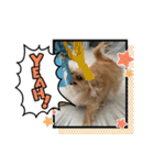 レオスタンプᜊ•ᴗ•ᜊ（個別スタンプ：11）