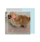 レオスタンプᜊ•ᴗ•ᜊ（個別スタンプ：15）