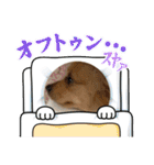 レオスタンプᜊ•ᴗ•ᜊ（個別スタンプ：19）