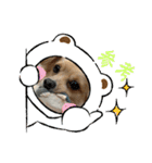 レオスタンプᜊ•ᴗ•ᜊ（個別スタンプ：20）