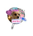 レオスタンプᜊ•ᴗ•ᜊ（個別スタンプ：21）