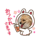 レオスタンプᜊ•ᴗ•ᜊ（個別スタンプ：24）