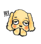 ゆるだる犬【太郎】1.5（個別スタンプ：5）