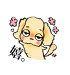 ゆるだる犬【太郎】1.5（個別スタンプ：16）